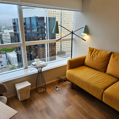 psicologa_alphaville_consultorio_06